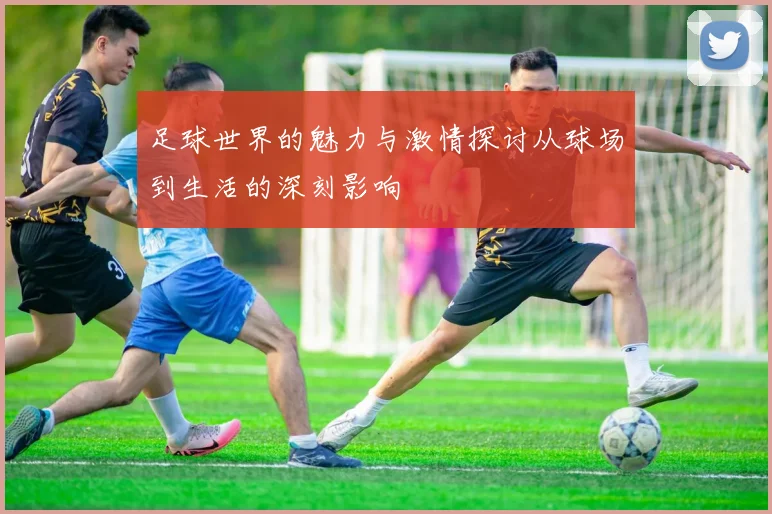 足球世界的魅力与激情探讨从球场到生活的深刻影响