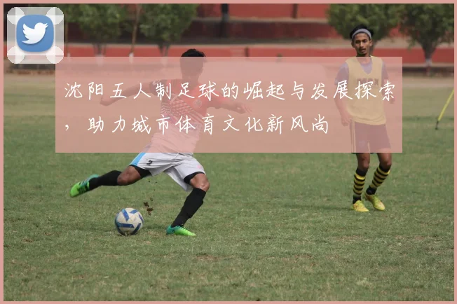 沈阳五人制足球的崛起与发展探索，助力城市体育文化新风尚